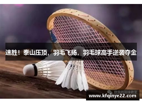 速胜！泰山压顶，羽毛飞扬，羽毛球高手逆袭夺金